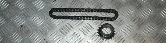 Citroen C5 Timing chain (engine) 
