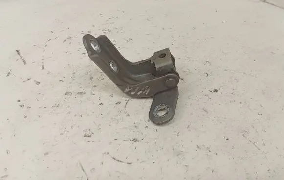 Hyundai ix35 Front door lower hinge 
