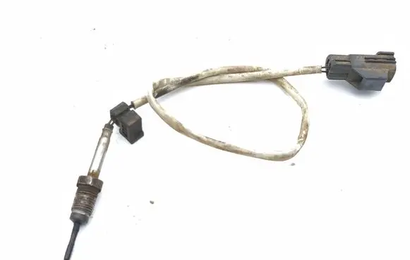 Land Rover Range Rover L405 Exhaust gas temperature sensor CPLA12B591AA