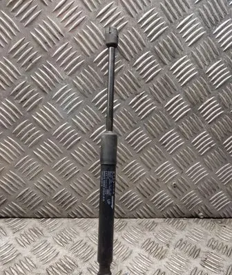 Tailgate strut