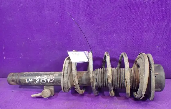 Peugeot 206 CC Front shock absorber with coil spring