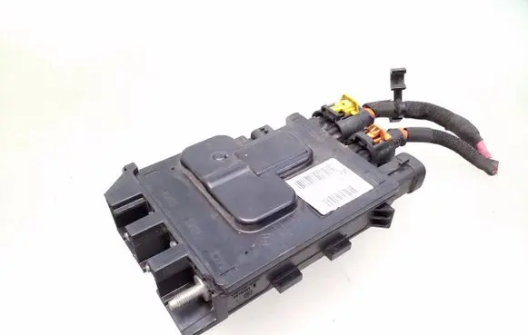 Renault Megane III Positive wiring loom 243800011R