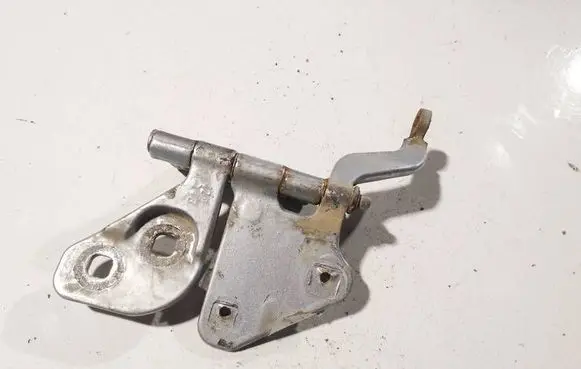 Jaguar X-Type Rear door lower hinge
