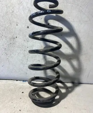 Volkswagen PASSAT B6 Rear coil spring