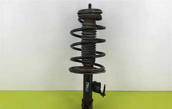 Peugeot 307 Front shock absorber with coil spring