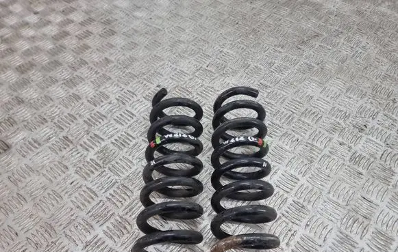 Rear coil spring