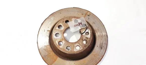 Volkswagen PASSAT B6 Rear brake disc neventiliuojamas