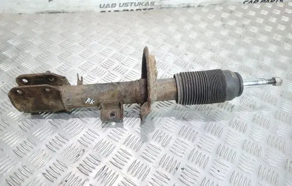 Suzuki SX4 Front shock absorber/damper