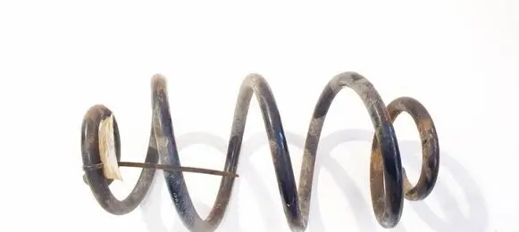 Rear coil spring