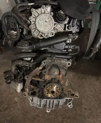Skoda Octavia Mk2 (1Z) Engine
