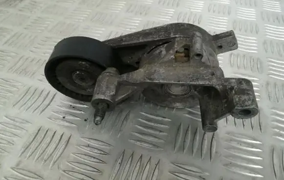 Seat Altea Generator/alternator belt tensioner 03g903315a 445000