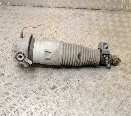 Audi Q7 4L Rear shock absorber/damper 7L8616019A