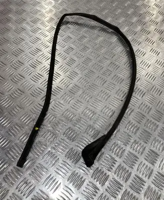 Citroen DS3 Front door rubber seal PK11242