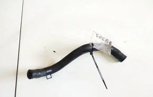 Hyundai Santa Fe Engine coolant pipe/hose