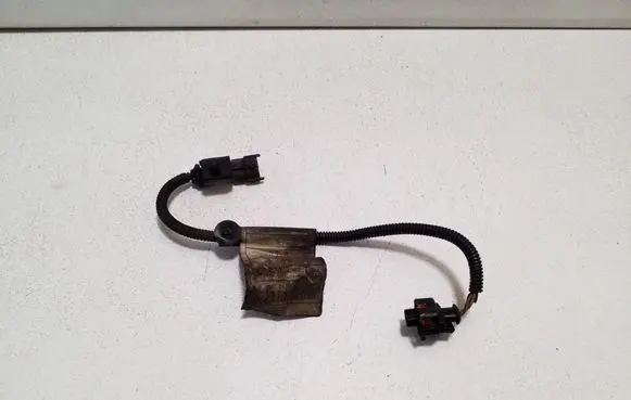 Dodge Nitro Other wiring loom 018852219G