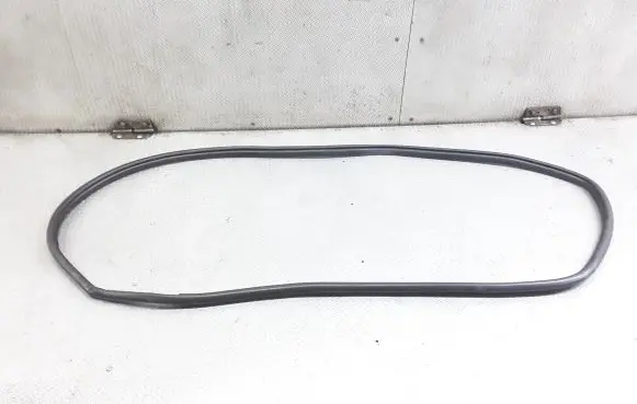Rear door rubber seal (on body)