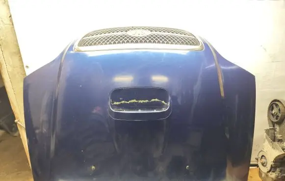 KIA Carnival Engine bonnet/hood