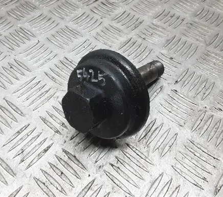 Volkswagen Bora Oil filter cover 