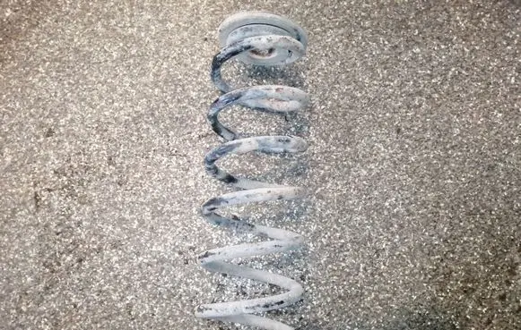 Skoda Octavia Mk2 (1Z) Rear coil spring