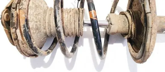 Toyota RAV 4 (XA20) Front coil spring