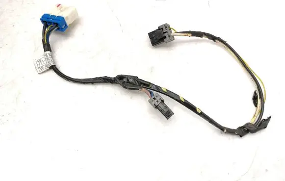 KIA Carnival Other wiring loom H302233850A