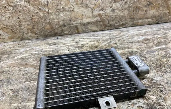 Mercedes-Benz S AMG W220 Engine oil radiator A2155000000