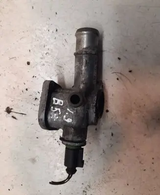 Thermostat/thermostat housing