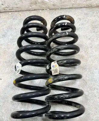 KIA EV6 Rear coil spring 55330G1AB0