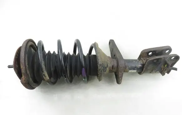 Land Rover Freelander Front shock absorber with coil spring 