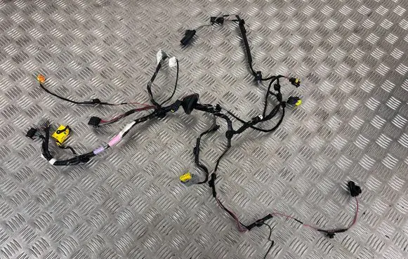 Tesla Model X Other wiring loom P103244100G