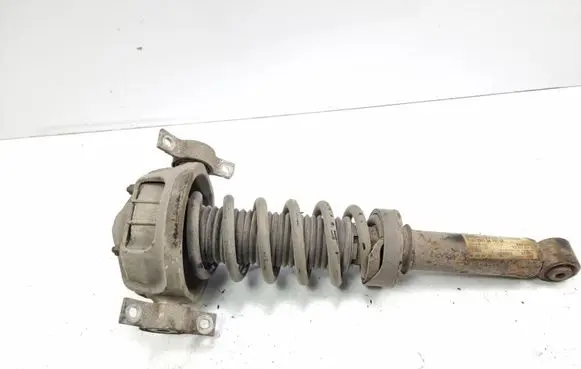 Porsche Cayenne (9PA) Rear shock absorber/damper 7L5512021DA