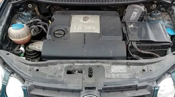 Volkswagen Polo IV 9N3 Engine
