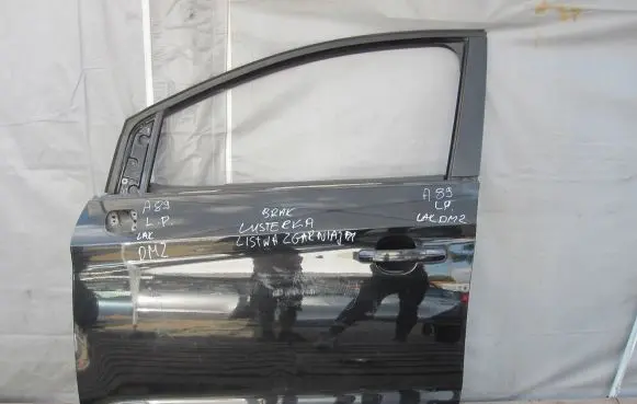 Ford Kuga I Front door
