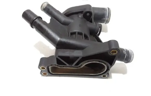 Thermostat/thermostat housing