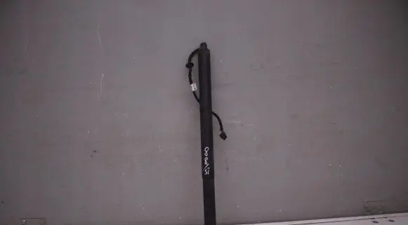 Tailgate strut