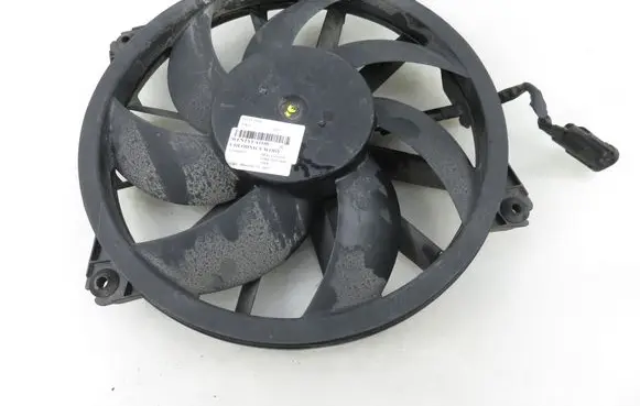 Citroen Berlingo Electric radiator cooling fan 9673009880 M153276
