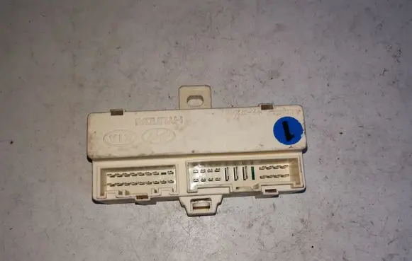 KIA Carens II Other control units/modules 919402G010