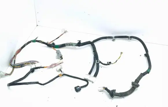 Rear door wiring loom