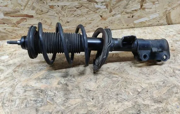 Hyundai i10 Front shock absorber with coil spring 54650B9000