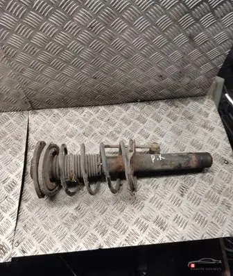 Peugeot 206 Front shock absorber with coil spring