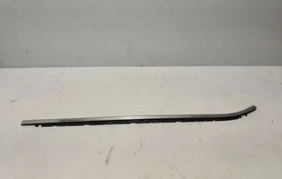 Renault Captur II Rear door trim (molding) 828219808R