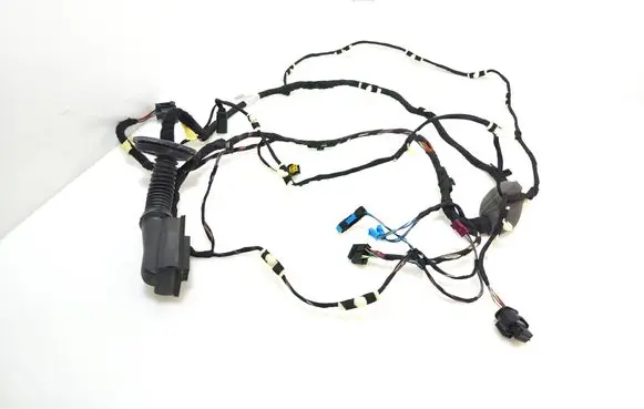 BMW X3 G01 Front door wiring loom 5A48E65 E69380A