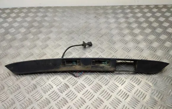Trunk door license plate light bar