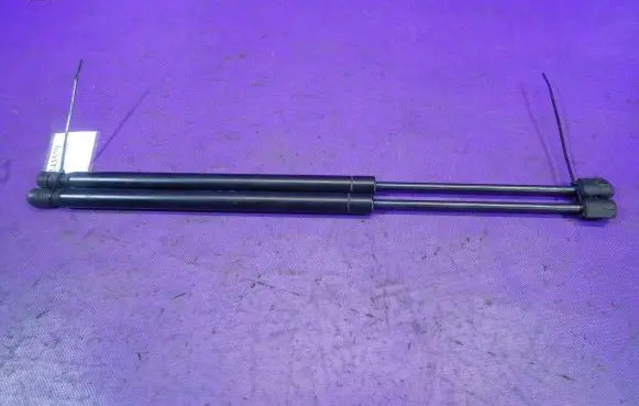 Renault Scenic II - Grand scenic II Tailgate strut GS0476