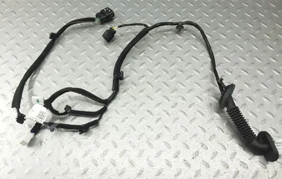 Rear door wiring loom