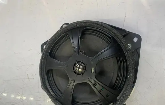 Lexus RX 330 - 350 - 400H Rear door speaker 861600W570