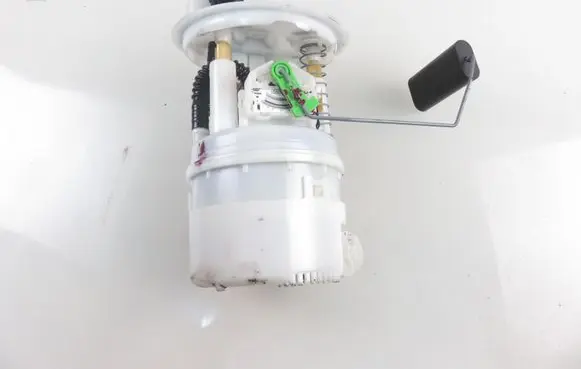 Dacia Sandero In-tank fuel pump 172022377R