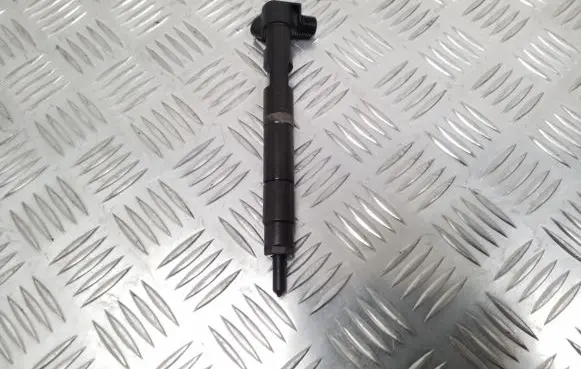 Mercedes-Benz Sprinter W906 Fuel injector A6510703087