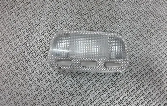 Peugeot 407 Front seat light