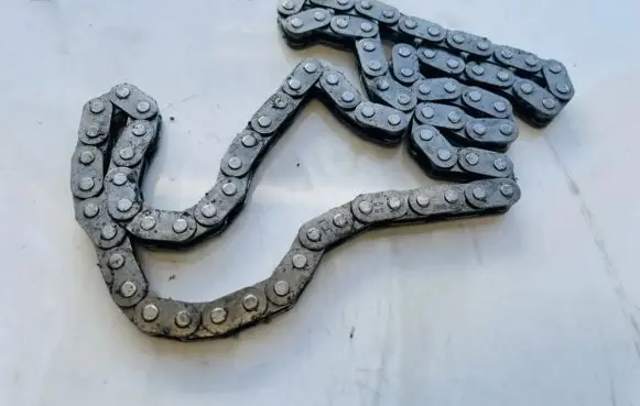 Ford Focus Timing chain (engine) 